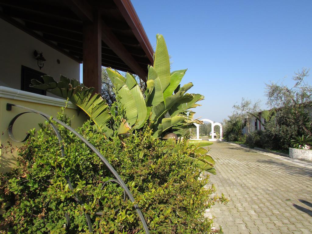 Villa Terra Nostra Vieste Exterior foto